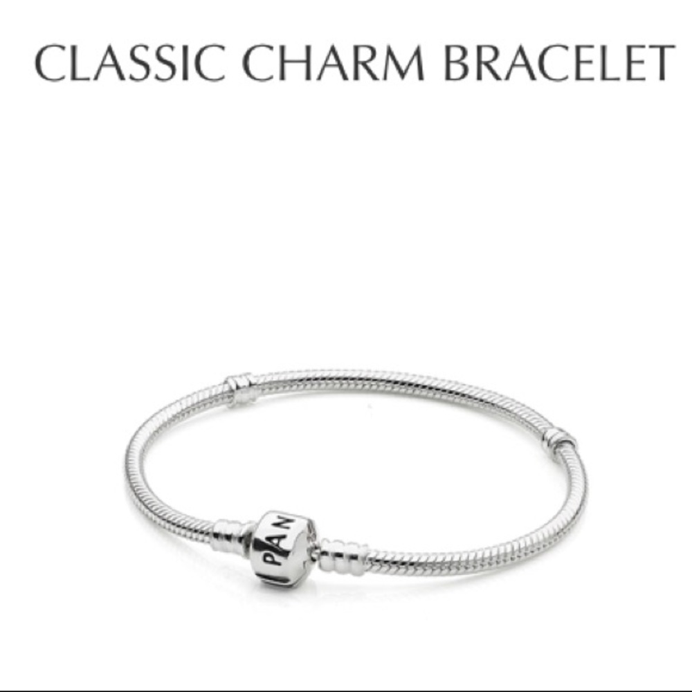 Pandora classic charm bracelet